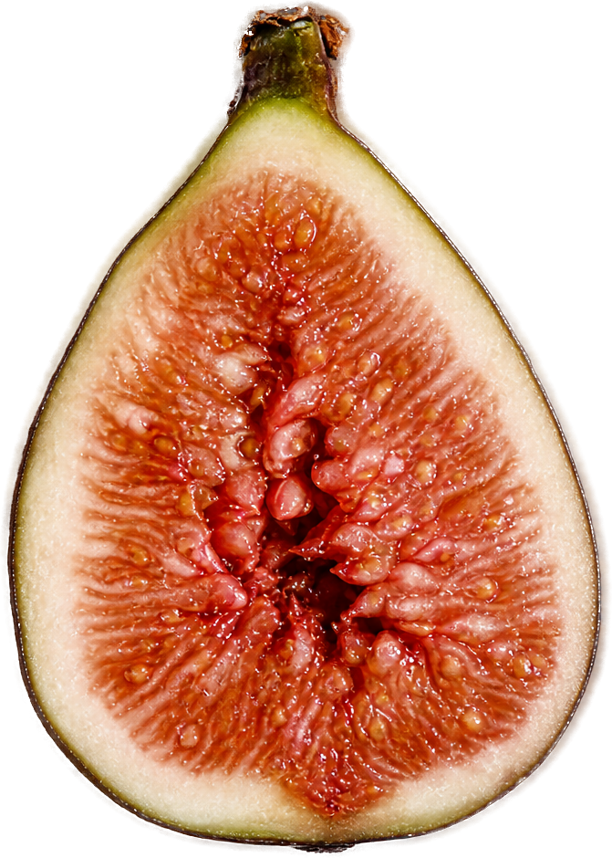A ripe fig cut open, revealing its blooming interior.
